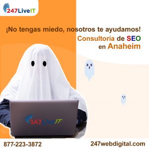 Estrategias de marketing; consultoría de SEO en Anaheim