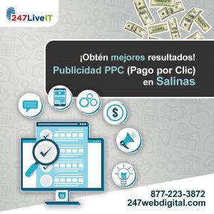 Publicidad PPC en Salinas