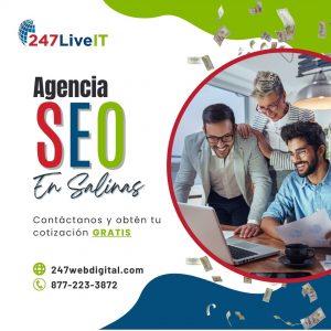 Agencia de marketing digital en Salinas